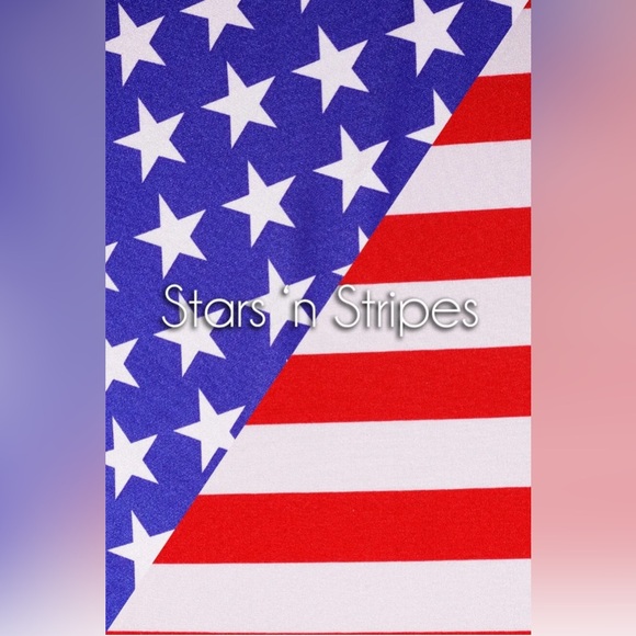 Colleen Kelly Swimwear STARS 'N STRIPES PATCH SLINGSHOT flag rwb
USA NEW 2024 S - Picture 13 of 14